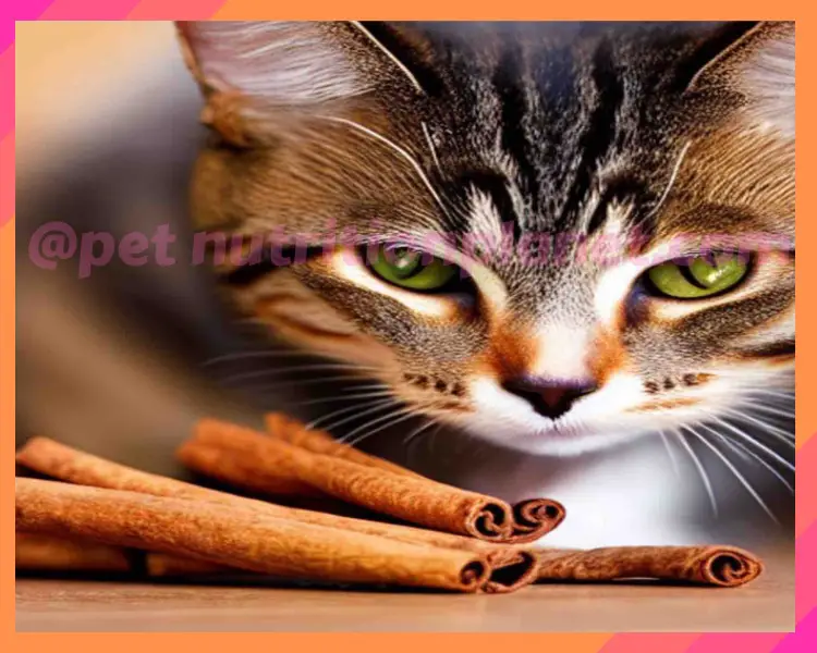Can cats eat cinnamon?